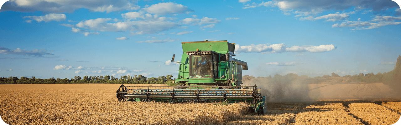 A green combine harvester works in a golden wheat field under a bright blue sky.